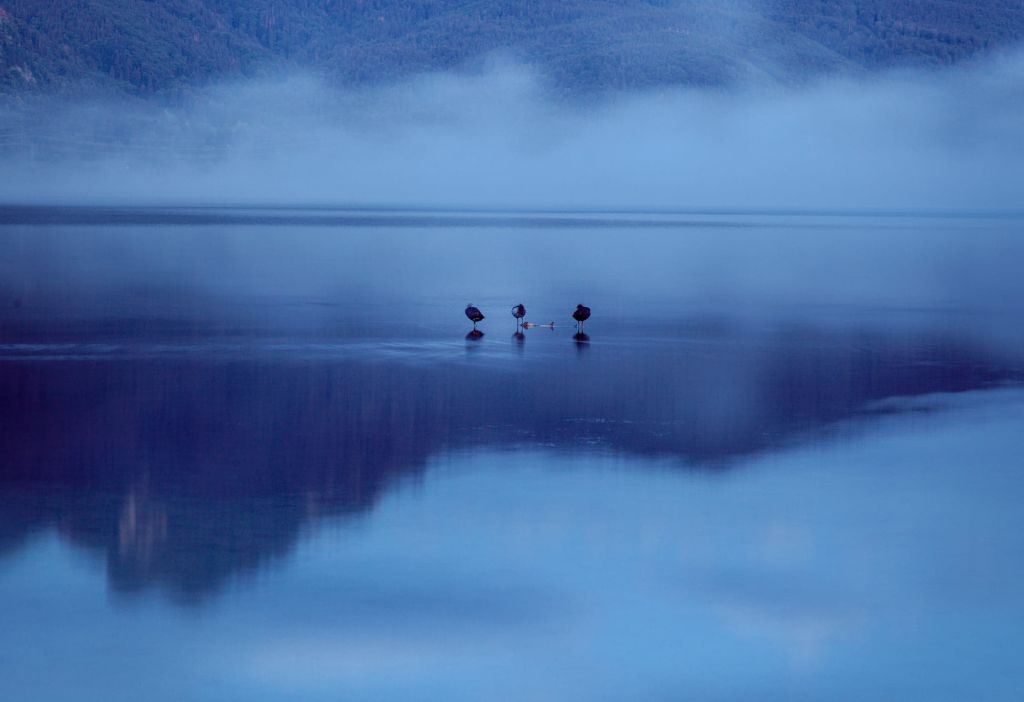 Der Kochelsee - Ruhige Stimmung am Kochelsee.  - © Loc Hoang